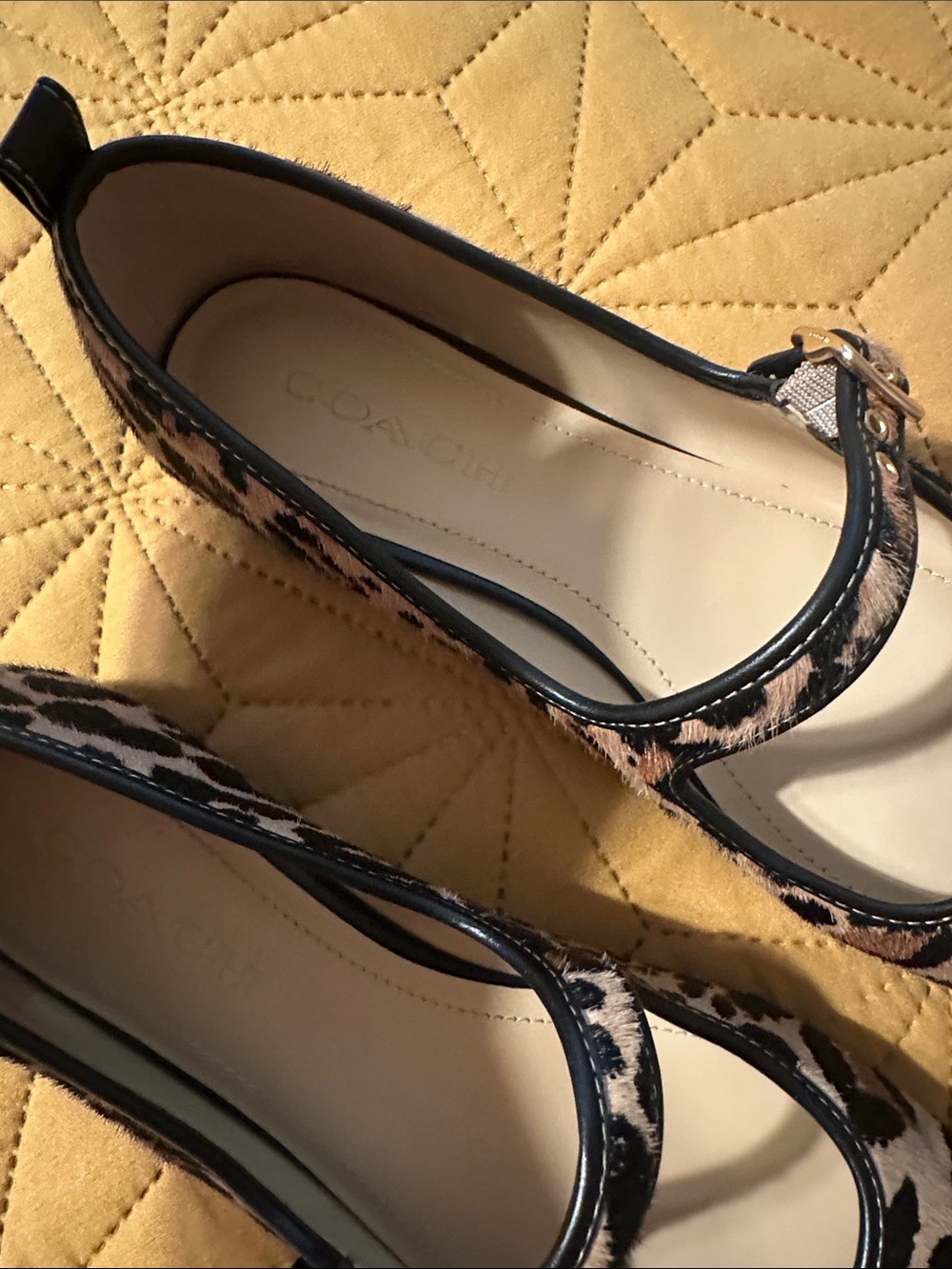 COACH Leopard Print Mary Jane Flats in Brown and Black